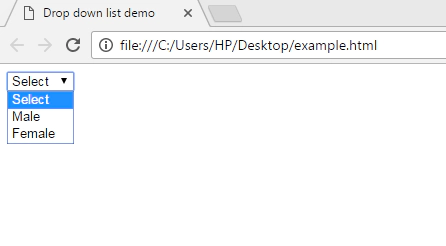 HTML dropdown list in Hindi
